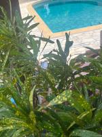 Villa Shoelcher, joli T2 a 3 min de la mer à pied, avec piscine - B&B Schoelcher