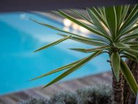 Driftwood Escape - B&B Knysna