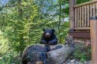 Hot Tub with Theater, Game Room and Sleeps 13 - B&B Gatlinburg