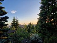 Appartement 1 Chambre avec Balcon et Vue sur les Montagnes 