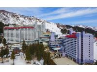 Twin Tower Ishiuchi - Vacation STAY 22695 - B&B Seki