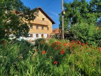 Natur Pur - B&B Waltenhofen