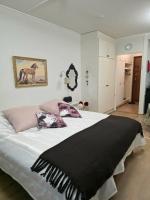 Kylpylä-hotelli 364 - B&B Ikaalinen