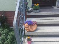 Am Sonnenblick - Ferienwohnung Werda