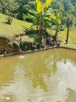 Casa Pereira - Chambres d'hôtes Visconde de Mauá