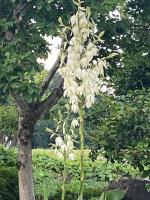 悠の宿 - B&B Katsuyama