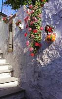 U' Cerrito - B&B Orria