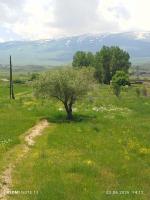Kutchak AparanQ - B&B Kuchak