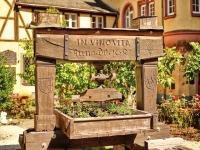 Bio Weingut & Schloss Freiherr von Landenberg - Ferienwohnung Ediger-Eller