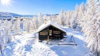 Ski in ski out in Geilo, comfortable and family friendly cabin - Ferienwohnung Geilo