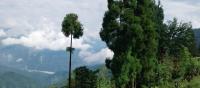 Ramdhura Navanya Homestay, Ramdhura, Kalimpong - B&B Pedong