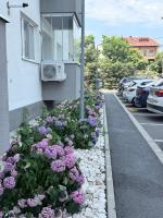 Home away from home - Cozy and Spacious Studio with Balcony - Ferienwohnung Bukarest