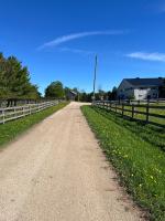 Gloucester Woods Farms Scenic Stable Apartment on 147 Acres - B&B Meaford