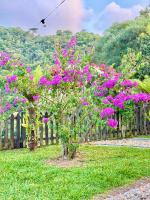 Morada das araucárias - Rancho Queimado - B&B Rancho Queimado