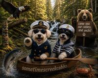 Sometimes Creek Cabins - B&B Seward