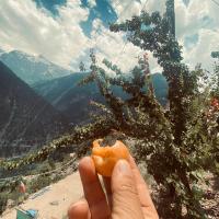 Raldang Himalayan homestay & farm stay - B&B Kalpa
