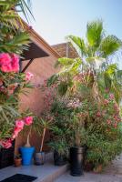 Villa Cactus - B&B Ben Larbi