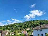Fewo mit großartigem Blick zur Klosterruine Limburg - B&B Bad Dürkheim