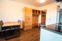 One-Bedroom Apartment with Terrace