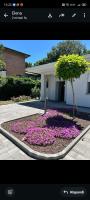 White Villa - B&B Casinalbo