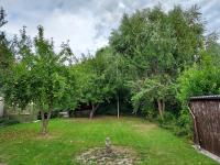 Ferienhaus Schmitt - B&B Büsumer Deichhausen
