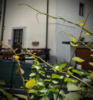 Appartamento Novecento - Chambres d'hôtes Enguiso