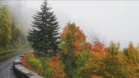 KunTree Retreat by Beyond Expectations w Hot Tub - B&B Sevierville