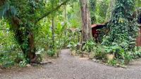 Jungle Bluff Beach Paradise - Jungle House - B&B Bocas del Toro