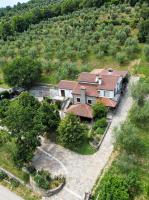 Stone House Apartment, Olive Grove & Valley View, Istria - Chambres d'hôtes Šmarje