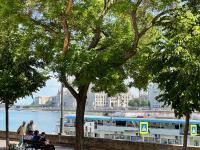 Twin Danube Lofts by Chain Bridge - B&B Budapest