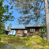 Cabin in Tuddal - B&B Hjartdal