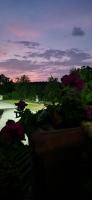 lalunanera - Bed and Breakfast Cortazzone