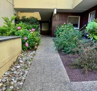Auszeit vom Alltag- schöne, moderne Wohnung am See - B&B Immenstaad am Bodensee