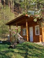 Bungalow Maria&Razvan - B&B Pângărăcior