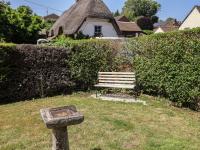 Tane - B&B Blandford Forum