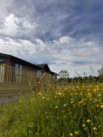 Hollicarrs - Thistle Lodge - B&B Riccall