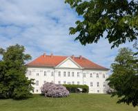 Großzügige Ferienwohnung mit viel Platz zwischen Tollenseesee und Müritz - B&B Hohenzieritz