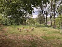 Apartmán U Lišek - B&B Petrovice u Sušice