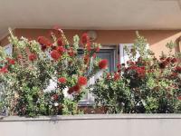 Roccesarde Apartment - Chambres d'hôtes Alghero