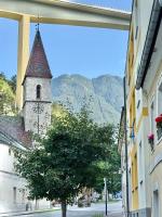 Mountain Nest Apartment - B&B Schottwien