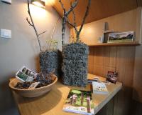 B&B de ZIL - B&B Herselt
