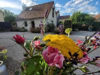 Charmante Maison Bourbonnaise du XVIIIe avec Animaux Acceptés - FR-1-489-393 - B&B Taxat-Senat