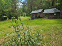 Pūču māja/Owl house namiņš Ogrē - B&B Ogre
