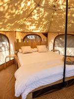 Pink lemon Galmping - B&B Elche