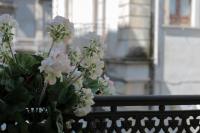 I Marinai - Suite in Centro Città - Bed and Breakfast Catania