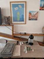 Domus Sergio - Ferienwohnung Rom
