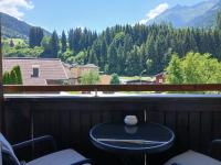 Appartement 1 Chambre avec Balcon et Vue sur les Montagnes 