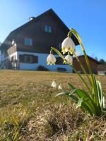 Ferienwohnung Biesen - Ferienwohnung Maierhöfen