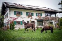 Ferienwohnungen Eisele "Die mit dem Pferd" - B&B Bad Feilnbach
