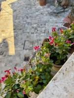 Casa Picicio - Bed and Breakfast Assisi